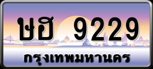 ทะเบียนรถ ษฮ 9229 ผลรวม 0