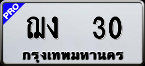 ทะเบียนรถ ฌง 30 ผลรวม 0