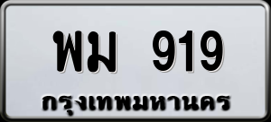 ทะเบียนรถ พม 919 ผลรวม 0