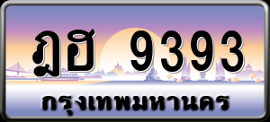 ทะเบียนรถ ฎฮ 9393 ผลรวม 0